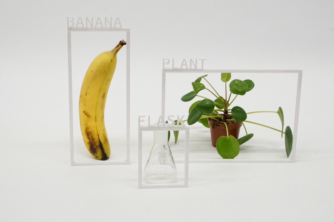 MaxGruber-Banana_ Plant _ Flask MaxGruber-Banana_ Plant _ Flask
