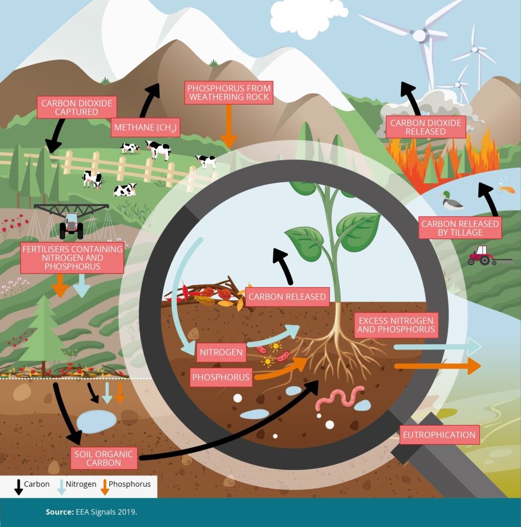 Sustainable Agriculture What It Means And Why It Matters Heinrich sustainable-agriculture-what-it-means-and-why-it-matters-heinrich