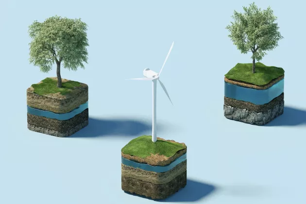 Sustainability_Trees_Windmill