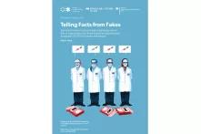Telling Facts from Fakes cover