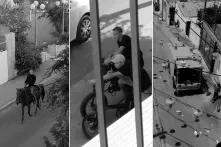 Yael Sloma  Quarantine Diaries, 2020 HD videos with sound, duration variable