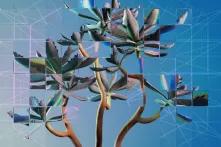  Better Images of AI / Nature 