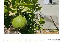 October 2024 Calendar page, Heartbeats by Batia Holin