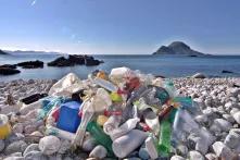 Plastic bottles on a beach.