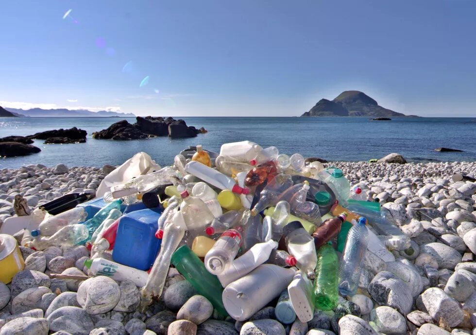 Plastic bottles on a beach.