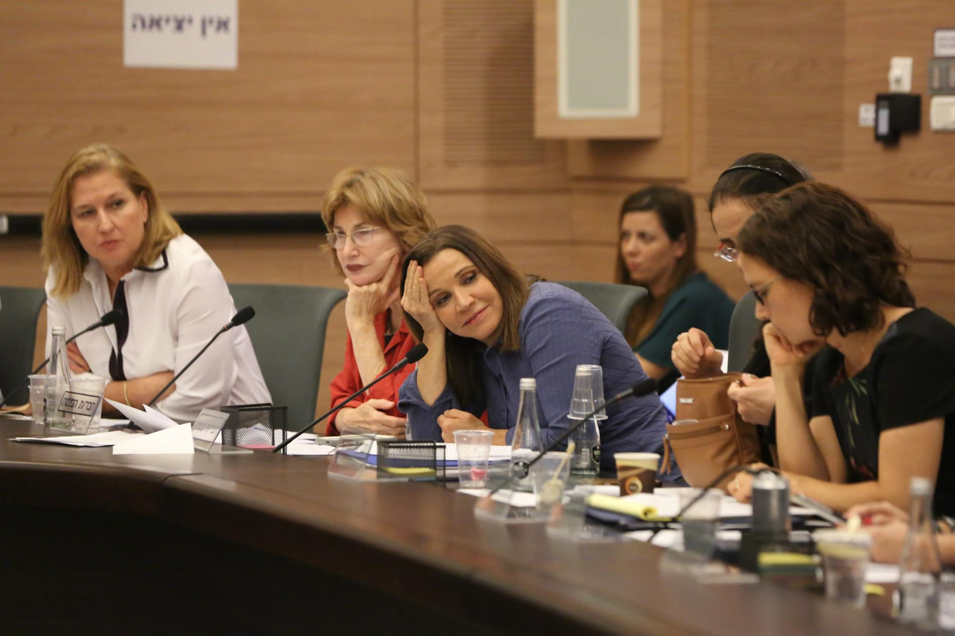Israeli MKs during a committee session / ShatilStock